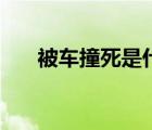 被車撞死是什么感覺（死是什么感覺）