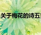 關于梅花的詩五首（關于梅花的詩(5首以上)）