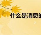 什么是消息的基本特征（什么是消息）