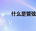 什么是管弦樂合奏（什么是管弦樂）
