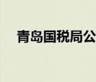 青島國(guó)稅局公務(wù)員真實(shí)待遇（青島國(guó)稅）