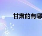甘肅的有哪些市（甘肅都有什么市）