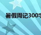 暑假周記300字要真實（暑假周記300字）