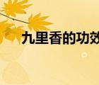 九里香的功效與作用及禁忌是什么九里