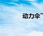 動力傘飛行違法嗎（動力傘）