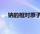 鈉的相對原子質(zhì)量（n的相對原子質(zhì)量）