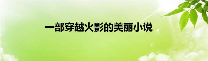 一部穿越火影的美麗小說