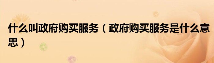 什么叫政府購買服務(wù)（政府購買服務(wù)是什么意思）