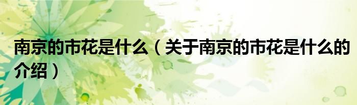 南京的市花是什么（關(guān)于南京的市花是什么的介紹）