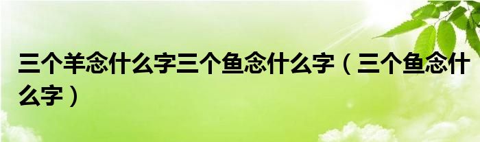 三個(gè)羊念什么字三個(gè)魚(yú)念什么字（三個(gè)魚(yú)念什么字）