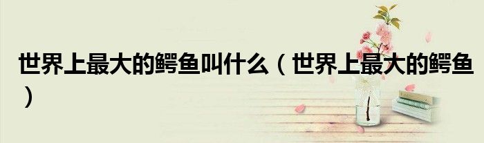 世界上最大的鱷魚叫什么（世界上最大的鱷魚）