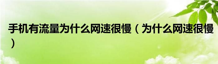 手機(jī)有流量為什么網(wǎng)速很慢（為什么網(wǎng)速很慢）