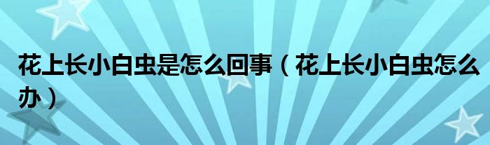 花上長(zhǎng)小白蟲是怎么回事（花上長(zhǎng)小白蟲怎么辦）