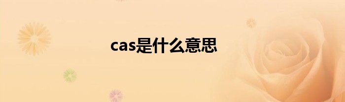 cas是什么意思