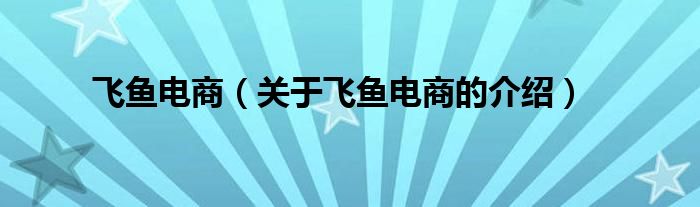 飛魚電商（關(guān)于飛魚電商的介紹）