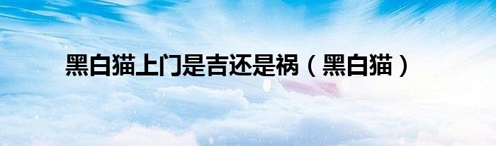 黑白貓上門(mén)是吉還是禍（黑白貓）