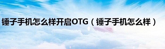 錘子手機怎么樣開啟OTG（錘子手機怎么樣）