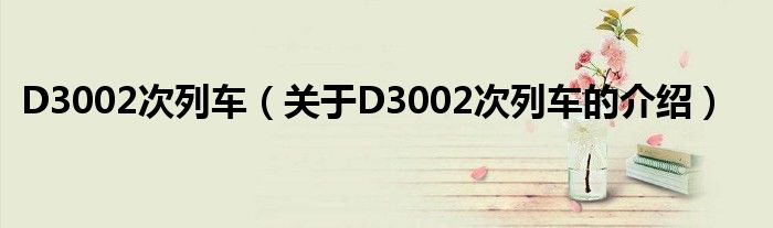 D3002次列車（關(guān)于D3002次列車的介紹）