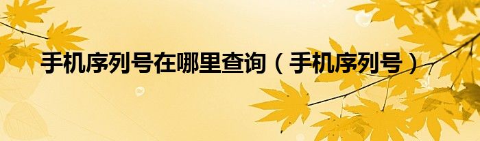 手機(jī)序列號(hào)在哪里查詢(xún)（手機(jī)序列號(hào)）