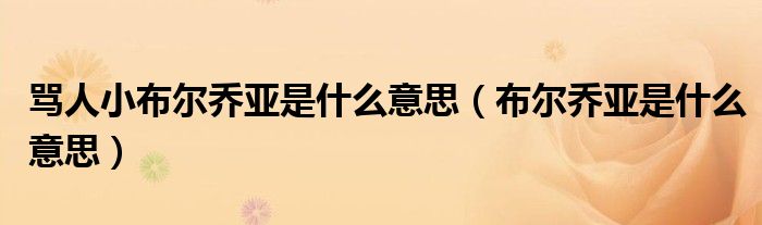罵人小布爾喬亞是什么意思（布爾喬亞是什么意思）
