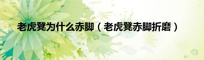 老虎凳為什么赤腳（老虎凳赤腳折磨）