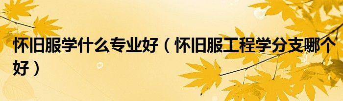 懷舊服學(xué)什么專業(yè)好（懷舊服工程學(xué)分支哪個好）