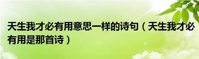 天生我才必有用意思一樣的詩句（天生我才必有用是那首詩）