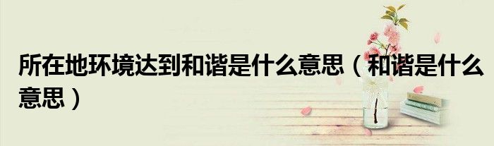所在地環(huán)境達(dá)到和諧是什么意思（和諧是什么意思）