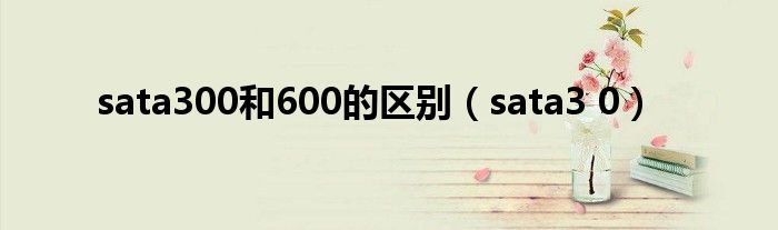 sata300和600的區(qū)別（sata3 0）