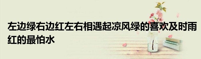 左邊綠右邊紅左右相遇起涼風(fēng)綠的喜歡及時(shí)雨紅的最怕水