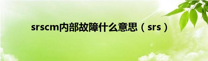 srscm內(nèi)部故障什么意思（srs）