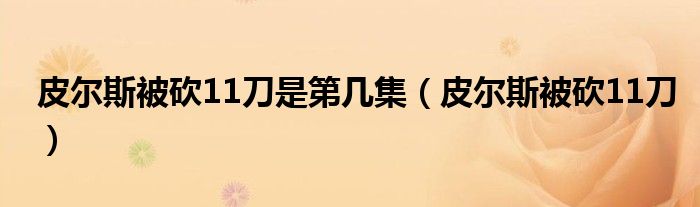 皮爾斯被砍11刀是第幾集（皮爾斯被砍11刀）