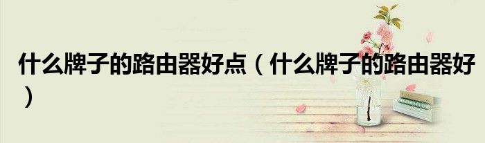 什么牌子的路由器好點(diǎn)（什么牌子的路由器好）