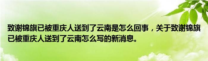 致謝錦旗已被重慶人送到了云南是怎么回事，關(guān)于致謝錦旗已被重慶人送到了云南怎么寫(xiě)的新消息。
