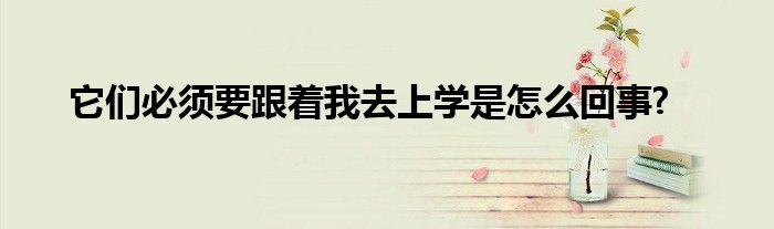 它們必須要跟著我去上學(xué)是怎么回事?