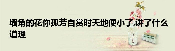 墻角的花你孤芳自賞時(shí)天地便小了,講了什么道理