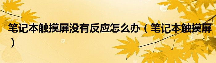 筆記本觸摸屏沒有反應(yīng)怎么辦（筆記本觸摸屏）