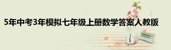 5年中考3年模擬七年級(jí)上冊(cè)數(shù)學(xué)答案人教版