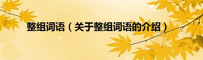 整組詞語(yǔ)（關(guān)于整組詞語(yǔ)的介紹）