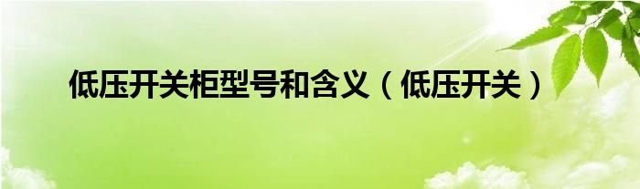 低壓開關(guān)柜型號和含義（低壓開關(guān)）