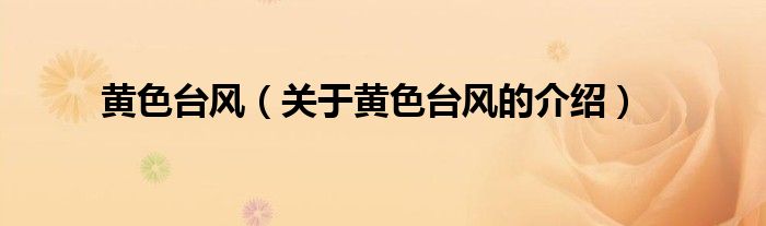 黃色臺風(fēng)（關(guān)于黃色臺風(fēng)的介紹）
