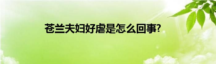 蒼蘭夫婦好虐是怎么回事?