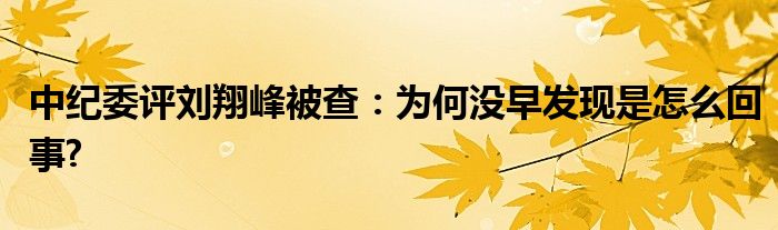 中紀(jì)委評(píng)劉翔峰被查：為何沒早發(fā)現(xiàn)是怎么回事?