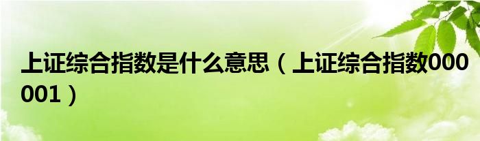 上證綜合指數(shù)是什么意思（上證綜合指數(shù)000001）