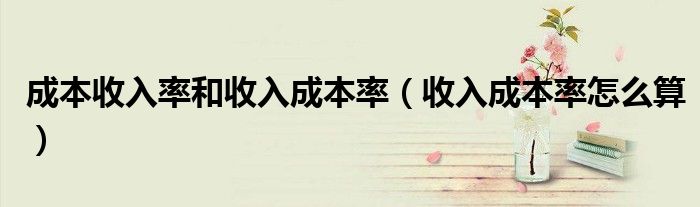 成本收入率和收入成本率（收入成本率怎么算）
