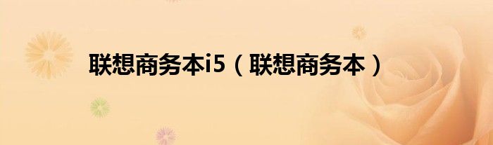 聯(lián)想商務本i5（聯(lián)想商務本）