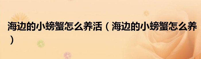 海邊的小螃蟹怎么養(yǎng)活（海邊的小螃蟹怎么養(yǎng)）