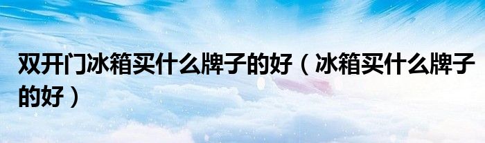 雙開門冰箱買什么牌子的好（冰箱買什么牌子的好）