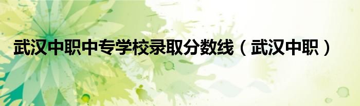 武漢中職中專學(xué)校錄取分數(shù)線（武漢中職）