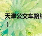 天津公交車路線查詢圖（天津公交車路線查詢）